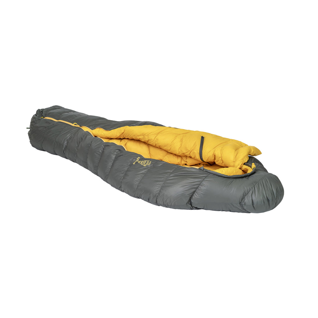 Patizon Dpro 590 - green/gold