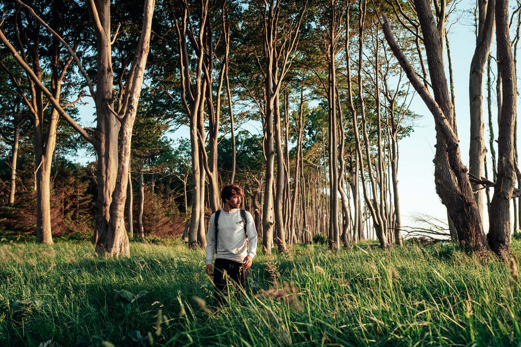 Merino-Mix Crewneck; light grey