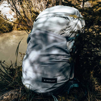 Motion Ellipse 25L, light grey