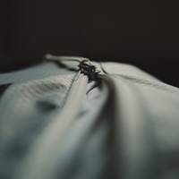 Carry Essentials Packing Cubes, Motion Edition