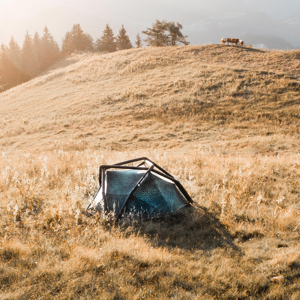 camo camping tent KIRRA; 3-Season, Black/Cairo Camo